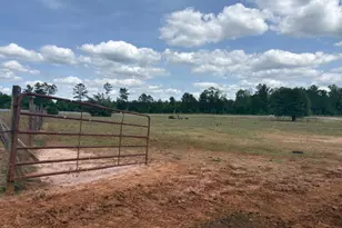 2912 Rock Btm Dr, Cottondale, FL 32431 - Photo 13