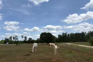 2912 Rock Btm Dr, Cottondale, FL 32431 - Photo 15