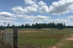 2912 Rock Btm Dr, Cottondale, FL 32431 - Photo 9