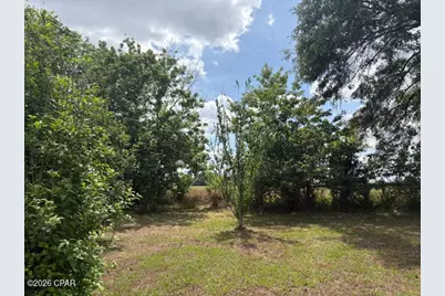 2912 Rock Bottom Drive, Cottondale, FL 32431 - Photo 43