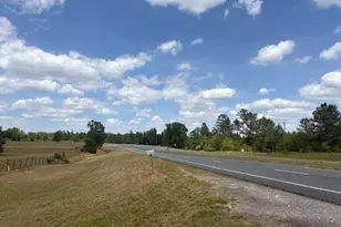 2912 Rock Btm Dr, Cottondale, FL 32431 - Photo 3