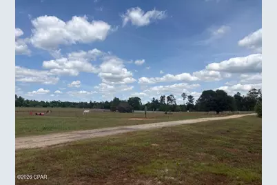 2912 Rock Bottom Drive, Cottondale, FL 32431 - Photo 7