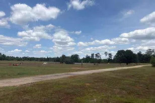 2912 Rock Btm Dr, Cottondale, FL 32431 - Photo 7
