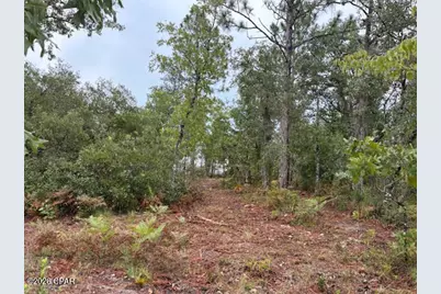 4539 NW White Road, Altha, FL 32421 - Photo 39