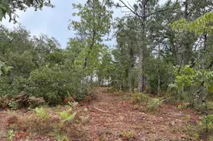 4539 NW White Rd, Altha, FL 32421 - Photo 39