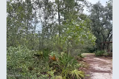 4539 NW White Road, Altha, FL 32421 - Photo 25