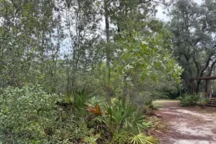 4539 NW White Rd, Altha, FL 32421 - Photo 25