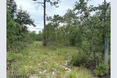 4539 NW White Road, Altha, FL 32421 - Photo 45