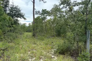 4539 NW White Rd, Altha, FL 32421 - Photo 45
