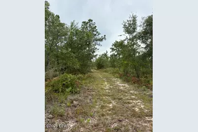 4539 NW White Road, Altha, FL 32421 - Photo 37