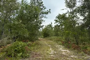 4539 NW White Rd, Altha, FL 32421 - Photo 37