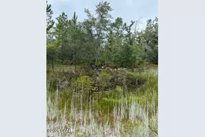 4539 NW White Road, Altha, FL 32421 - Photo 29