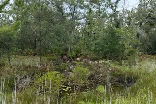 4539 NW White Rd, Altha, FL 32421 - Photo 29