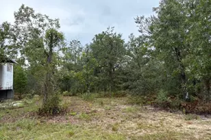 4539 NW White Rd, Altha, FL 32421 - Photo 23