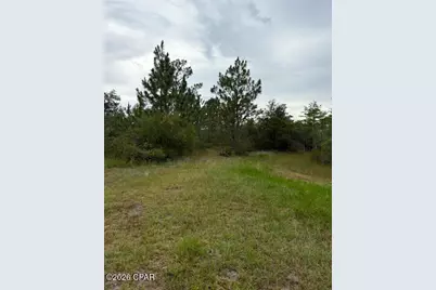 4539 NW White Road, Altha, FL 32421 - Photo 33