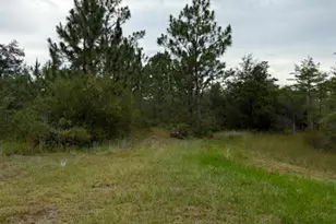 4539 NW White Rd, Altha, FL 32421 - Photo 33