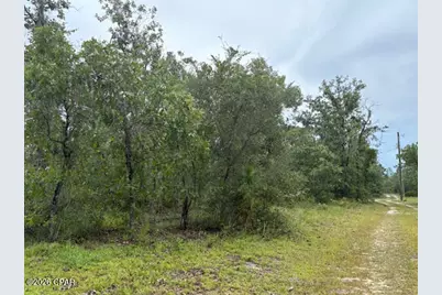 4539 NW White Road, Altha, FL 32421 - Photo 51