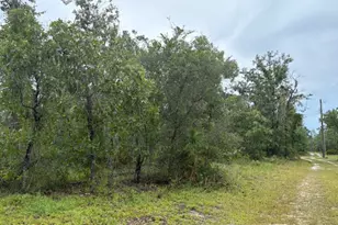 4539 NW White Rd, Altha, FL 32421 - Photo 51