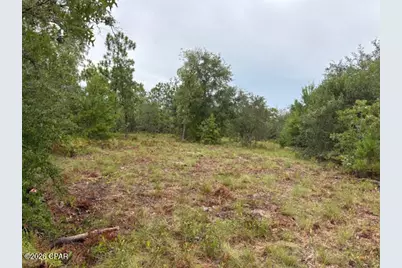 4539 NW White Road, Altha, FL 32421 - Photo 41