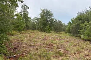 4539 NW White Rd, Altha, FL 32421 - Photo 41