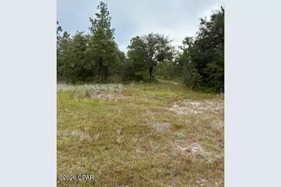 4539 NW White Road, Altha, FL 32421 - Photo 31