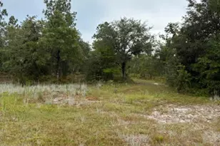 4539 NW White Rd, Altha, FL 32421 - Photo 31