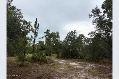4539 NW White Road, Altha, FL 32421 - Photo 17