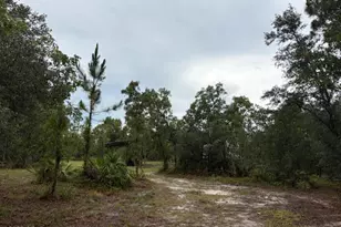 4539 NW White Rd, Altha, FL 32421 - Photo 17