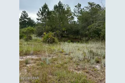 4539 NW White Road, Altha, FL 32421 - Photo 35