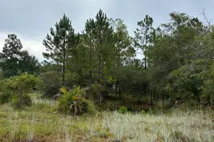 4539 NW White Rd, Altha, FL 32421 - Photo 35