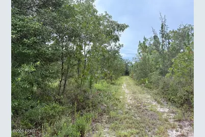 4539 NW White Road, Altha, FL 32421 - Photo 47
