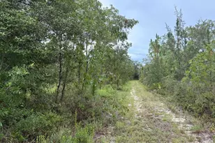 4539 NW White Rd, Altha, FL 32421 - Photo 47