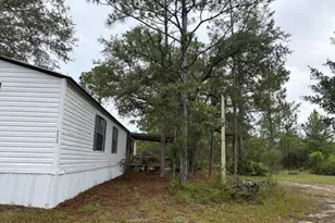 4539 NW White Rd, Altha, FL 32421 - Photo 11