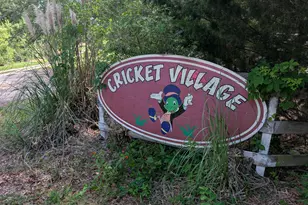 0 Cricket Village Circle, Bonifay, FL 32425 - Photo 1