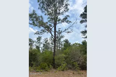 00 Southern Boulevard #L4 B203, Alford, FL 32420 - Photo 1