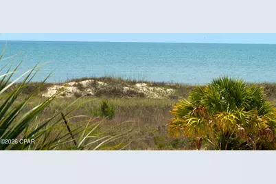 162 Cape Dunes Drive, Port Saint Joe, FL 32456 - Photo 33