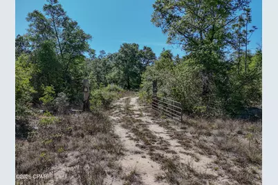 20455 Morrow Road, Fountain, FL 32438 - Photo 11