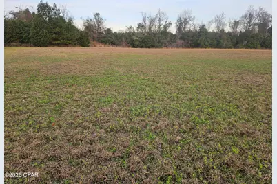 2945 Highway 71, Marianna, FL 32446 - Photo 9