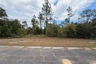 Lot 20 Fusion Circle, Chipley, FL 32428 - Photo 1