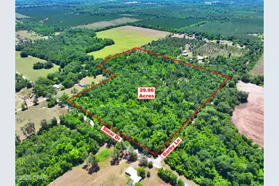 Tbd Darby Lane, Sneads, FL 32460 - Photo 17