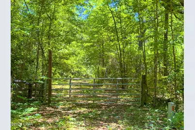 Tbd Darby Lane, Sneads, FL 32460 - Photo 3
