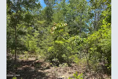 0 Bonnett Pond Road, Chipley, FL 32428 - Photo 5