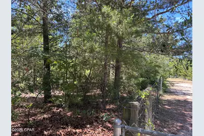 0 Bonnett Pond Road, Chipley, FL 32428 - Photo 9