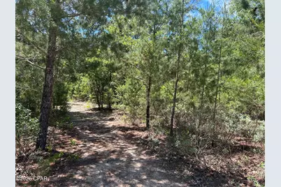 0 Bonnett Pond Road, Chipley, FL 32428 - Photo 7