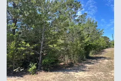 0 Bonnett Pond Road, Chipley, FL 32428 - Photo 3