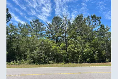 0 Bonnett Pond Road, Chipley, FL 32428 - Photo 1