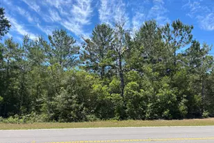 0 Bonnett Pond Rd, Chipley, FL 32428 - Photo 1