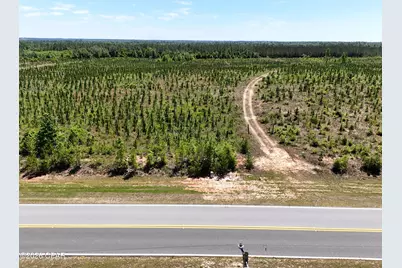 0 NW Cr 73 A, Altha, FL 32421 - Photo 5