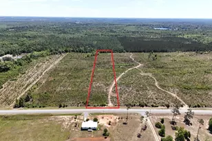 0 NW Cr 73 A, Altha, FL 32421 - Photo 1