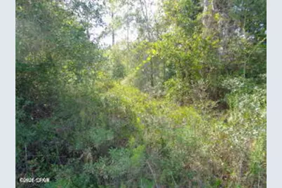 Lot 7 & 8 NW McKenzie Boulevard, Altha, FL 32421 - Photo 3